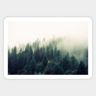 Foggy Forest View Sticker